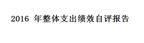 2016 年整體支出績效自評報告